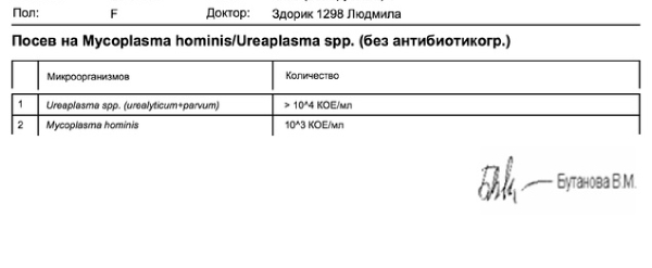 Ureaplasma species у мужчин